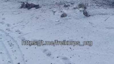 Warning: Extremely Graphic Images. Russian Soldiers Killed Trying To Push Into Kharkiv