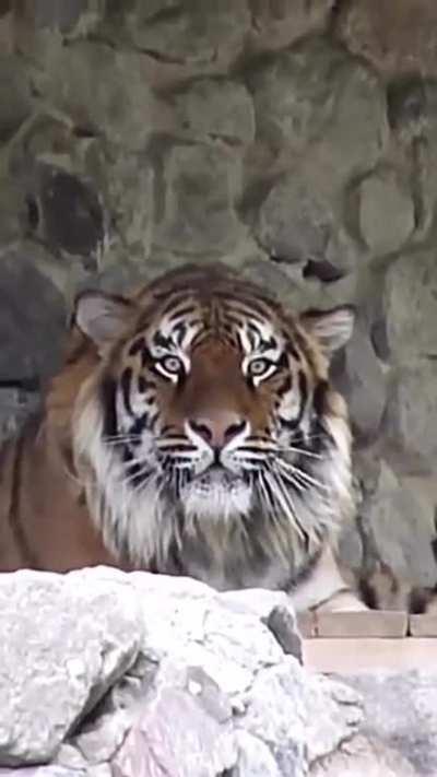 Might be too late to run lol