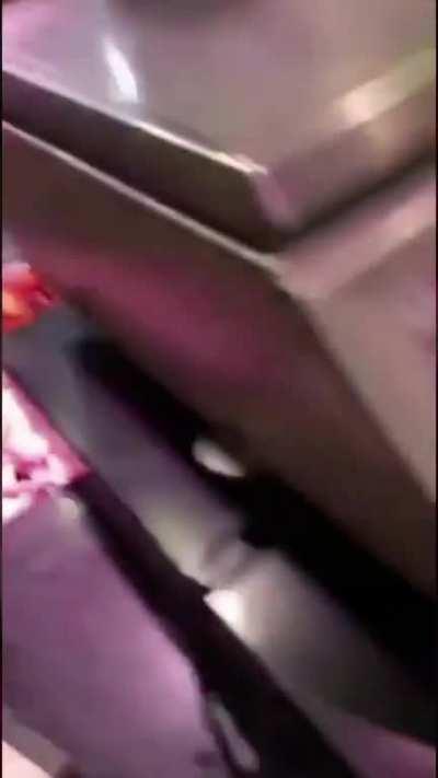 So yesterday, in the Omni Shopping Centre Santry, a jewel of suburban North Dublin, a woman entered the butchers with a plastic bag. This plastic bag contained a dead seagull, which she wanted the butchers to gut. So that she could eat it.