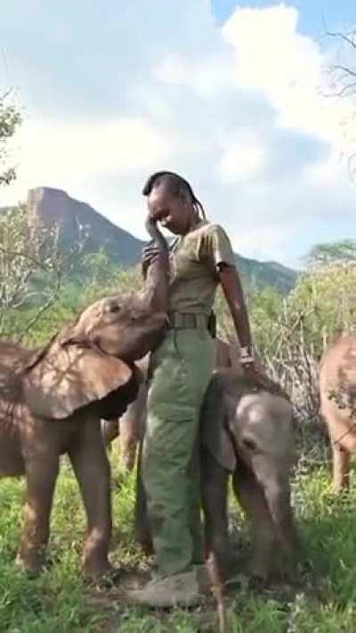 Elephants remains one the loveliest land animals..