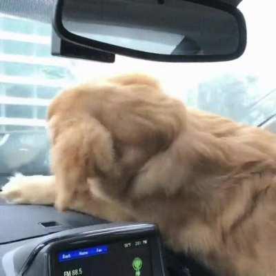 Not my Post, but saw it on r/funny and decided it belonged here with us.