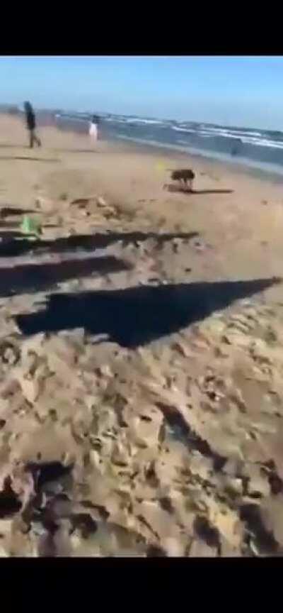 Racist woman gets mad at latino guy chilling at the beach, he laughs and yell at her 