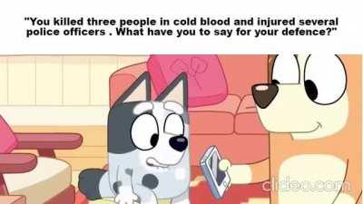 I just wanted to talk but they didn't give me a chance. War beginns where words end, it was a war declaration. They were the aggressors and not me!