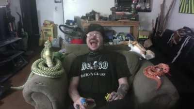 This part of the stream reminded me of another video, had to do the Cobra version