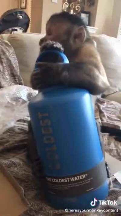 monke likes the water ooh ah ah