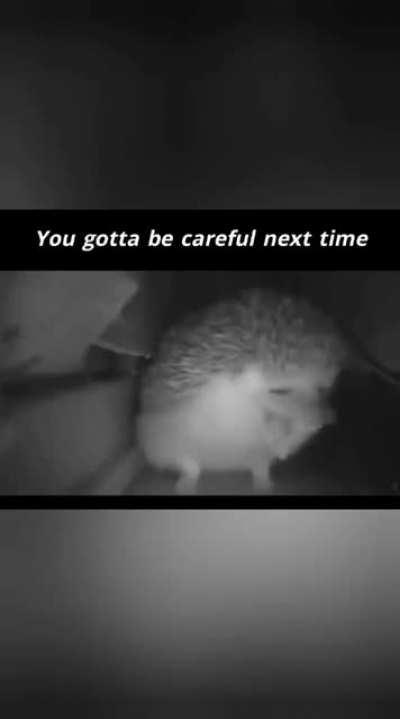 You Gotta Be Careful Next Time