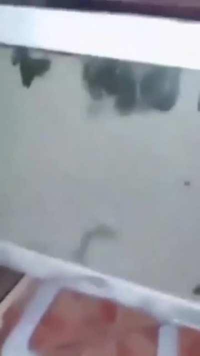 Chegou meu novo pc gamer 👌