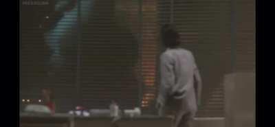 Whenever a human character sees our boy: