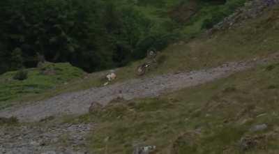 Gee Atherton’s Crash