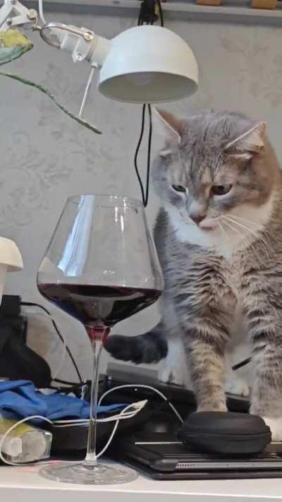 Bro, you're under 18 for that