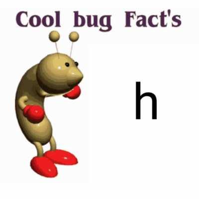 COOL BUG FACTS!!!!!!!