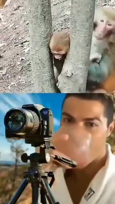 the camera man🗿