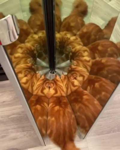 Idk i saw this and found it satisfying