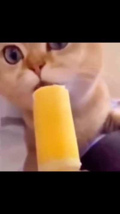 Is ice cream really that good?