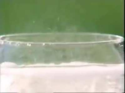 Did Japan just rickrolled??