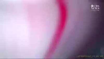 Почему менты стреляют на вскидку в Штатах