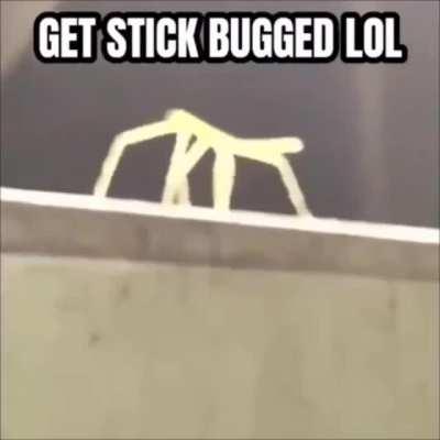 Y’all know what’s coming