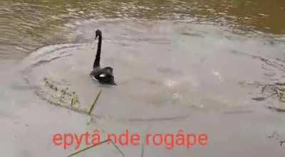 Epytâ nde rogápe/ Quédate en casa