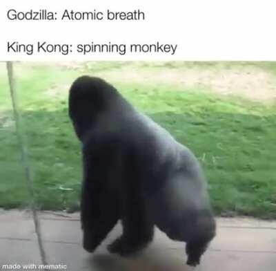 Ama ebi maymun alır ebi maymun daha güçlü ebi