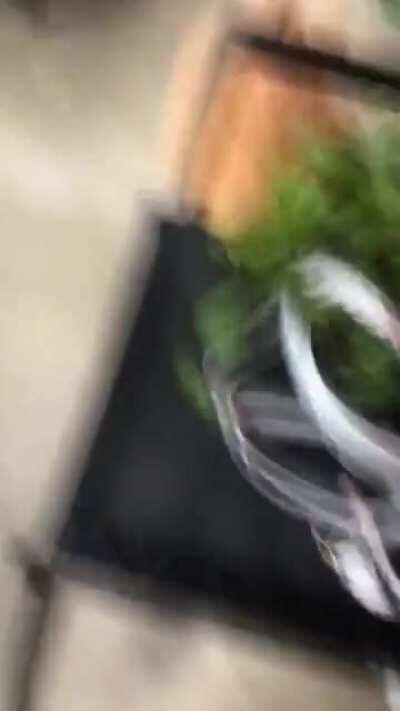 My poor buddy had just worked up the courage to go investigate the storm