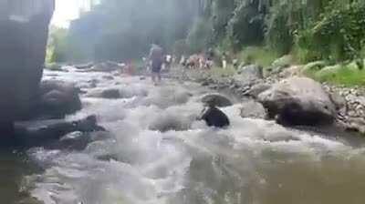 This man has real guts