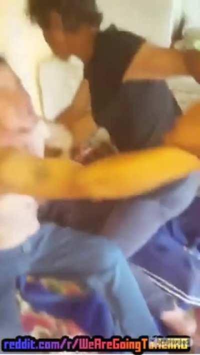 Doua rodditoare se bat pentru un WAGHTROman