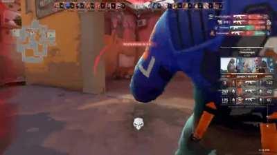 Idrk why I made this tbh lmfao