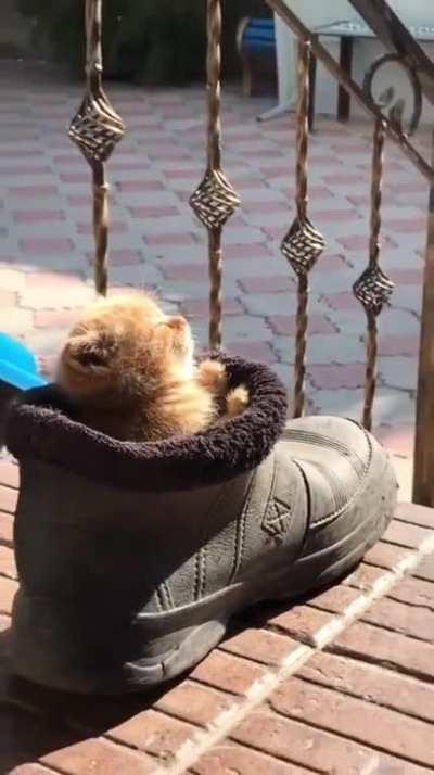 We are going to have to change her name to Bootsie after this.