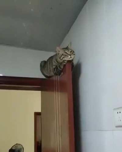 Nah they don't settle for boxes