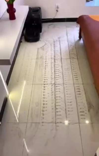 Cleaning up the mess