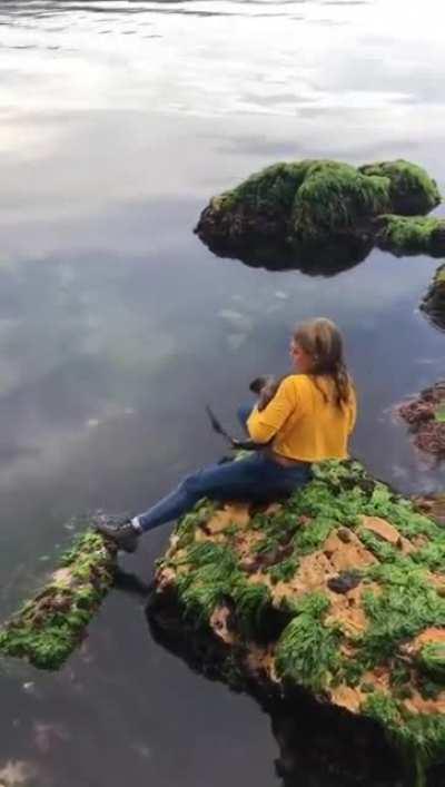 11-year-old girl rescuing a Draughtboard Shark that got wedged between two rocks at low tide (Hobart, Tasmania)