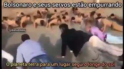 Sempre nos salvando 😍💕