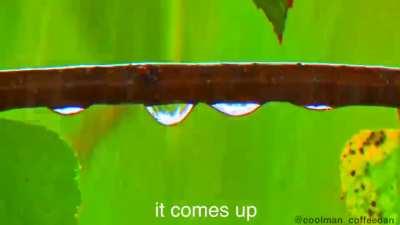 I hope this can help people ;)