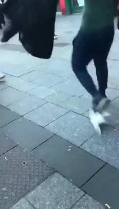 o'connell street 2022