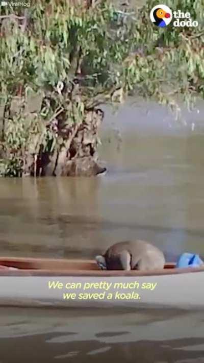 Немного милоты