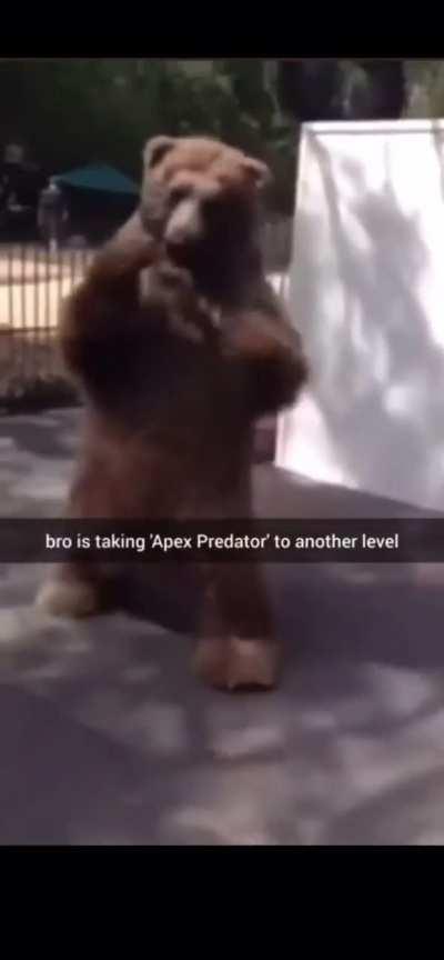 Kuma ready to beat Paul