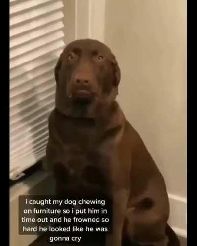 Displaying his dissatisfaction