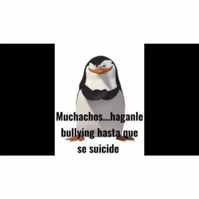 Yo cuando veo un fan de Darling in the Franxx