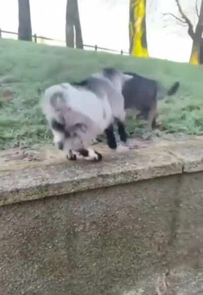 Dude what's wrong with you