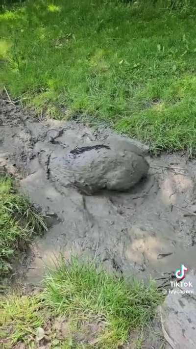 Whiskey is a problem