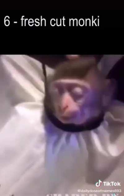 Top 10 iranian videos