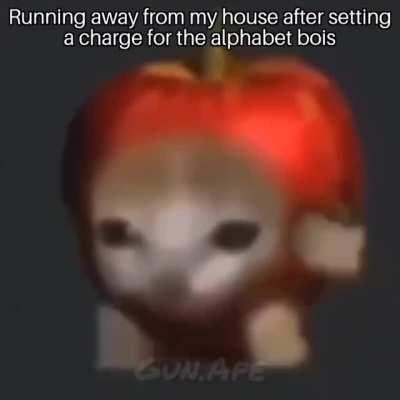 Had to use this new template that's floating around.