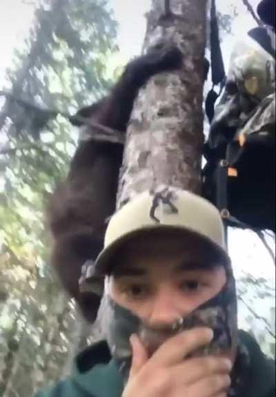 they have no business climbing that fast