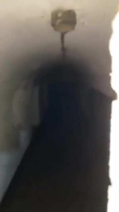 BeelcitosMemes - Video #8644