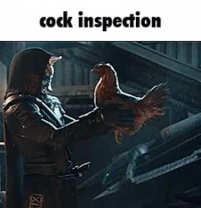 Inspection