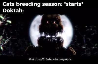 Heâs more scared of child support than horny