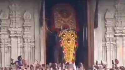 What curry does to a mf