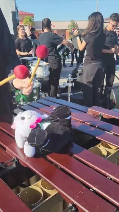 Very unfortunate series of events (DISCLAIMER: no fluffy bois were hurt in the making)