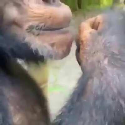 If you don't want it I'll have it