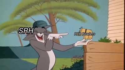 RCB Bowlers to SRH